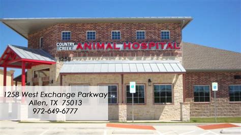 Leading Veterinary Care Services in Allen, TX - Discover Country Creek Animal Hospital Today!